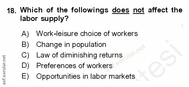 18. soru: Which of the followings does not affect the labor supply? A) Work-leisure choice of workers C) Law of diminishing ret…