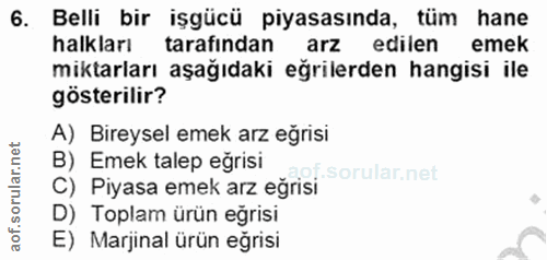 6. soru: Belli bir işgücü piyasasında, tüm hane halkları tarafından arz edilen emek miktarları aşağıdaki eğrilerden hangisi il…