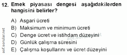 12. soru: Emek piyasası dengesi aşağıdakilerden hangisini belirler? A) Asgari ücreti B) Maksimum ve minimum ücreti C) Denge ücr…