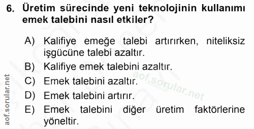 6. soru: Üretim sürecinde yeni teknolojinin kullanımı emek talebini nasıl etkiler? A) Kalifiye emeğe talebi artırırken, niteli…