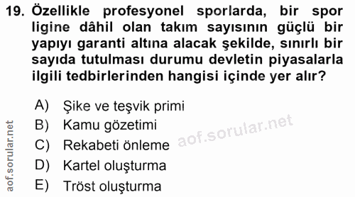 19. soru: Özellikle profesyonel sporlarda, bir spor ligine dâhil olan takım sayısının güçlü bir yapıyı garanti altına alacak şe…