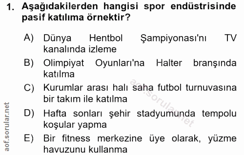 1. soru: Aşağıdakilerden hangisi spor endüstrisinde pasif katılıma örnektir? A) Dünya Hentbol Şampiyonası'nı TV kanalında izle…