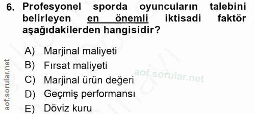 6. soru: Profesyonel sporda oyuncuların talebini belirleyen en önemli iktisadi faktör aşağıdakilerden hangisidir? A) Marjinal…