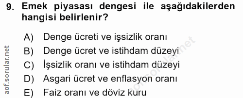 9. soru: Emek piyasası dengesi ile aşağıdakilerden hangisi belirlenir? A) Denge ücreti ve işsizlik oranı B) Denge ücret ve ist…