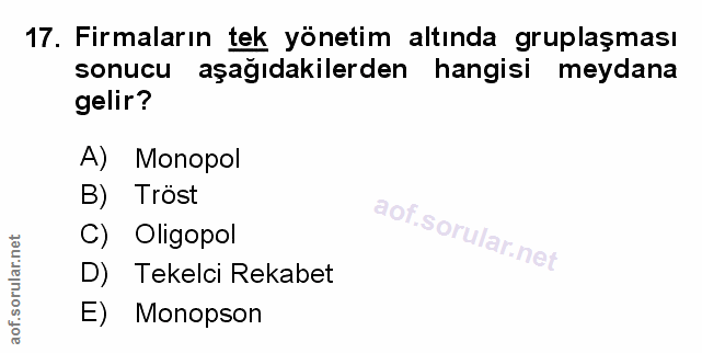 17. soru: Firmaların tek yönetim altında gruplaşması sonucu aşağıdakilerden hangisi meydana gelir? A) Monopol B) Tröst C) Oligo…