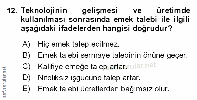 12. soru: Teknolojinin gelişmesi ve üretimde kullanılması sonrasında emek talebi ile ilgili aşağıdaki ifadelerden hangisi doğru…