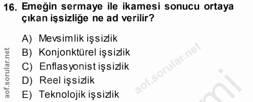 16. soru: Emeğin sermaye ile ikamesi sonucu ortaya çıkan işsizliğe ne ad verilir? A) Mevsimlik işsizlik B) Konjonktürel işsizli…