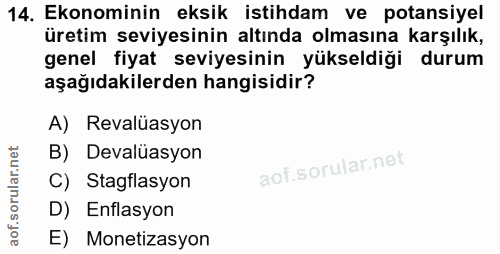14. soru: Ekonominin eksik istihdam ve potansiyel üretim seviyesinin altında olmasına karşılık, genel fiyat seviyesinin yükseld…