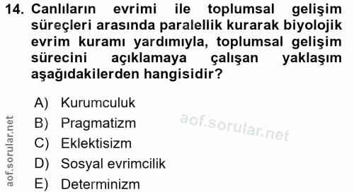 14. soru: Canliların evrimi ile toplumsal gelişim süreçleri arasında paralellik kurarak biyolojik evrim kuramı yardımıyla, topl…