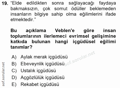 19. soru: "Elde edildikten sonra sağlayacağı faydaya bakmaksızın, çok somut ödüller beklemeden insanların bilgiye sahip olma eğ…