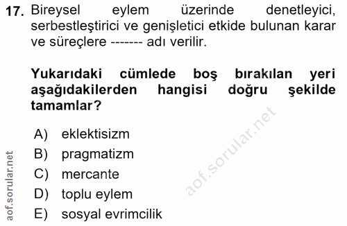 17. soru: Bireysel eylem üzerinde denetleyici, serbestleştirici ve genişletici etkide bulunan karar ve süreçlere - adı verilir.…