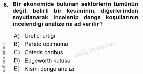 6. soru: Bir ekonomide bulunan sektörlerin tümünün değil, belirli bir kesiminin, diğerlerinden soyutlanarak incelenip denge ko…
