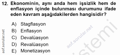 12. soru: Ekonominin, aynı anda hem işsizlik hem de enflasyon içinde bulunması durumunu ifade eden kavram aşağıdakilerden hangi…