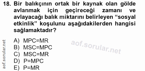 18. soru: Bir balıkçının ortak bir kaynak olan gölde avlanmak için geçireceği zamanı ve avlayacağı balık miktarını belirleyen "…