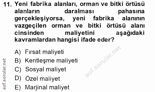 11. soru: Yeni fabrika alanları, orman ve bitki örtüsü alanların daralması pahasına gerçekleşiyorsa, yeni fabrika alanının vazg…