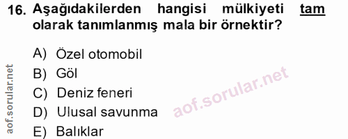 16. soru: Aşağıdakilerden hangisi mülkiyeti tam olarak tanımlanmış mala bir örnektir? A) Özel otomobil B) Göl C) Deniz feneri D…