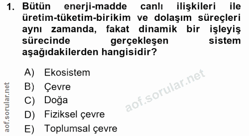 1. soru: Bütün enerji-madde canlı ilişkileri ile üretim-tüketim-birikim ve dolaşım süreçleri aynı zamanda, fakat dinamik bir i…