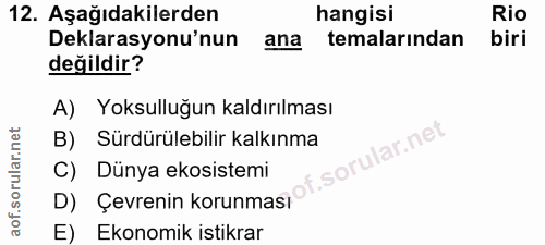 12. soru: Aşağıdakilerden hangisi Rio Deklarasyonu'nun ana temalarından biri değildir? A) Yoksulluğun kaldırılması B) Sürdürüle…