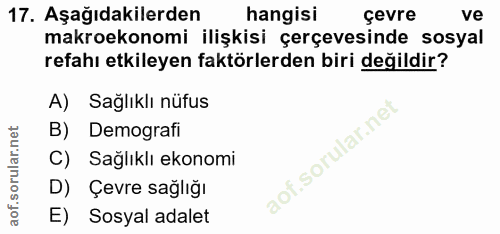 17. soru: Aşağıdakilerden hangisi çevre ve makroekonomi ilişkisi çerçevesinde sosyal refahı etkileyen faktörlerden biri değildi…