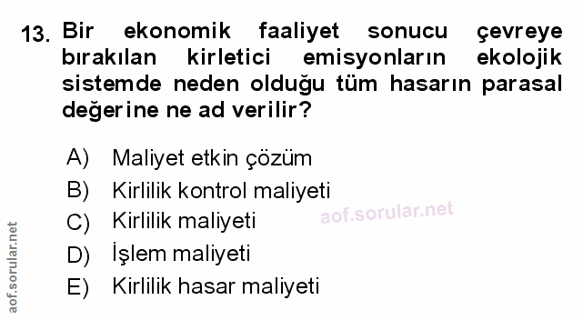 13. soru: Bir ekonomik faaliyet sonucu çevreye bırakılan kirletici emisyonların ekolojik sistemde neden olduğu tüm hasarın para…