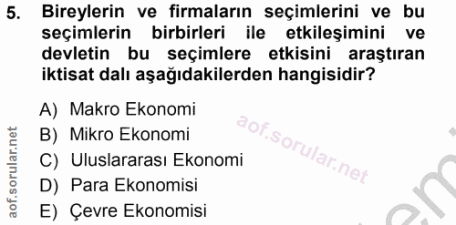5. soru: Bireylerin ve firmaların seçimlerini ve bu seçimlerin birbirleri ile etkileşimini ve devletin bu seçimlere etkisini a…