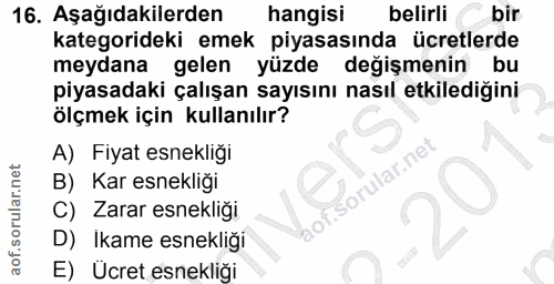16. soru: Aşağıdakilerden hangisi belirli bir kategorideki emek piyasasında ücretlerde meydana gelen yüzde değişmenin bu piyasa…