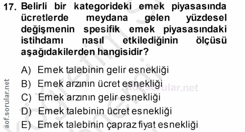 17. soru: Belirli bir kategorideki emek piyasasında ücretlerde meydana gelen yüzdesel değişmenin spesifik emek piyasasındaki is…