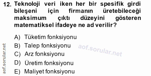 12. soru: Teknoloji veri iken her bir spesifik girdi bileşeni için firmanın üretebileceği maksimum çıktıl düzeyini gösteren mat…