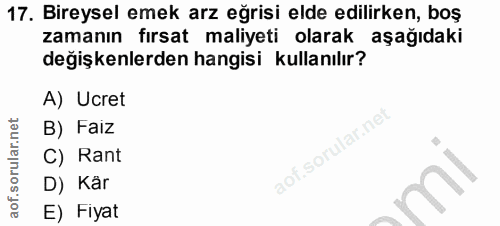 17. soru: Bireysel emek arz eğrisi elde edilirken, boş zamanın fırsat maliyeti olarak aşağıdaki değişkenlerden hangisi kullanıl…