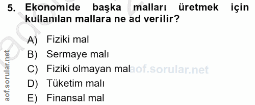 5. soru: Ekonomide başka malları üretmek için kullanılan mallara ne ad verilir? A) Fiziki mal B) Sermaye malı C) Fiziki olmaya…