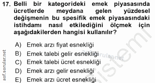 17. soru: Belli bir kategorideki emek piyasasında ücretlerde meydana gelen yüzdesel değişmenin bu spesifik emek piyasasındaki i…