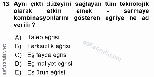 13. soru: Aynı çıktı düzeyini sağlayan tüm teknolojik olarak etkin emek sermaye kombinasyonlarını gösteren eğriye ne ad verilir…