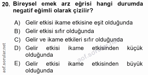 20. soru: Bireysel emek arz eğrisi hangi durumda negatif eğimli olarak çizilir? A) Gelir etkisi ikame etkisine eşit olduğunda B…