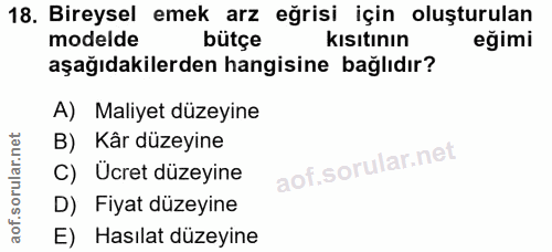 18. soru: Bireysel emek arz eğrisi için oluşturulan modelde bütçe kısıtının eğimi aşağıdakilerden hangisine bağlıdır? A) Maliye…