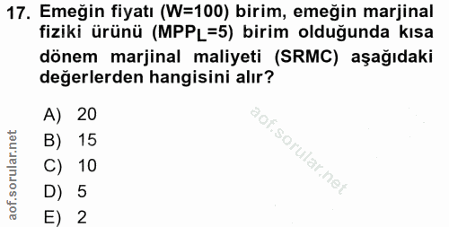 17. soru: Emeğin fiyatı (W=100) birim, emeğin marjinal fiziki ürünü (MPPL=5) birim olduğunda kısa dönem marjinal maliyeti (SRMC…