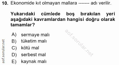 10. soru: Ekonomide kıt olmayan mallara ---- adı verilir. Yukarıdaki cümlede boş bırakılan yeri aşağıdaki kavramlardan hangisi…