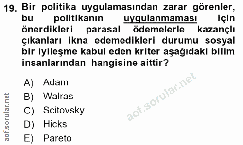 19. soru: Bir politika uygulamasından zarar görenler, politikanın uygulanmaması için Önerdikleri parasal ödemelerle kazançlı çı…
