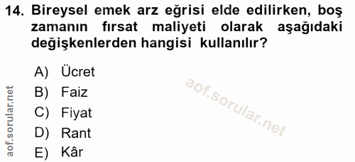 14. soru: Bireysel emek arz eğrisi elde edilirken, boş zamanın fırsat maliyeti olarak aşağıdaki değişkenlerden hangisi kullanıl…
