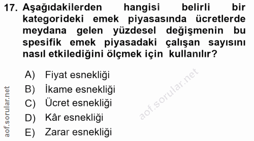17. soru: Aşağıdakilerden hangisi belirli bir kategorideki emek piyasasında ücretlerde meydana gelen yüzdesel değişmenin bu spe…