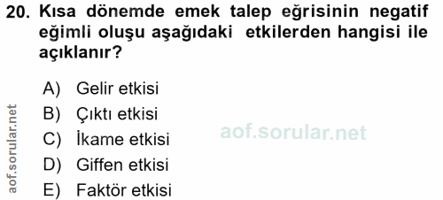 20. soru: Kısa dönemde emek talep eğrisinin negatif eğimli oluşu aşağıdaki etkilerden hangisi ile açıklanır? A) Gelir etkisi B)…