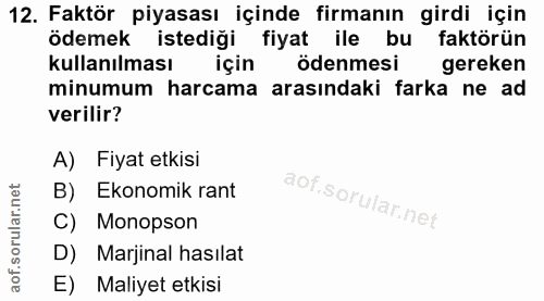 12. soru: Faktör piyasası içinde firmanın girdi için ödemek istediği fiyat ile bu faktörün kullanılması için ödenmesi gereken m…