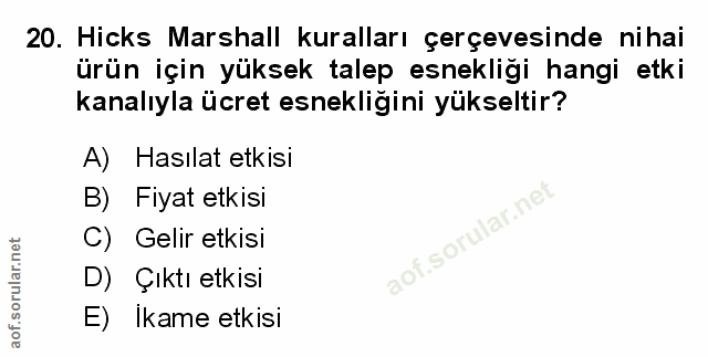 20. soru: Hicks Marshall kuralları çerçevesinde nihai ürün için yüksek talep esnekliği hangi etki kanalıyla ücret esnekliğini y…