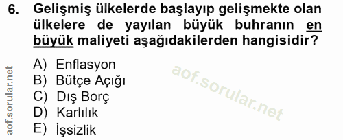 6. soru: Gelişmiş ülkelerde başlayıp gelişmekte olan ülkelere de yayılan büyük buhranın en büyük maliyeti aşağıdakilerden hang…