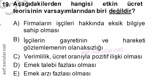 19. soru: Aşağıdakilerden hangisi etkin ücret teorisinin varsayımlarından biri değildir? A) Firmaların işçileri hakkında eksik…