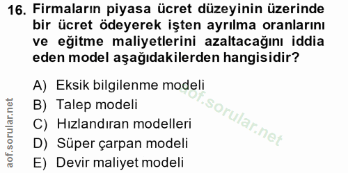16. soru: Firmaların piyasa ücret düzeyinin üzerinde bir ücret ödeyerek işten ayrılma oranlarını ve eğitme maliyetlerini azalta…