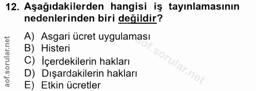 12. soru: Aşağıdakilerden hangisi iş tayınlamasının nedenlerinden biri değildir? A) Asgari ücret uygulaması B) Histeri C) İçerd…