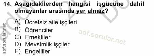 14. soru: Aşağıdakilerden hangisi işgücüne dahil olmayanlar arasında yer almaz? A) Ücretsiz aile işçileri B) Öğrenciler aof.sor…