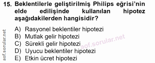 15. soru: Beklentilerle geliştirilmiş Philips eğrisi'nin elde edilişinde kullanılan hipotez aşağıdakilerden hangisidir? A) Rasy…