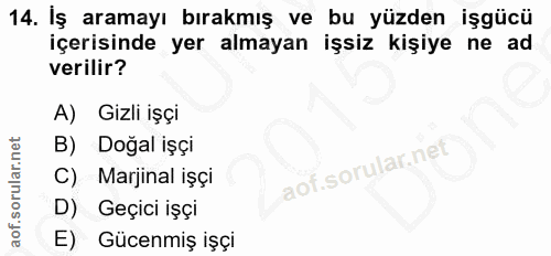 14. soru: İş aramayı bırakmış ve bu yüzden işgücü içerisinde yer almayan işsiz kişiye ne ad verilir? A) Gizli işçi B) Doğal işç…