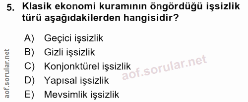 5. soru: Klasik ekonomi kuramının öngördüğü işsizlik türü aşağıdakilerden hangisidir? A) Geçici işsizlik B) Gizli işsizlik C)…